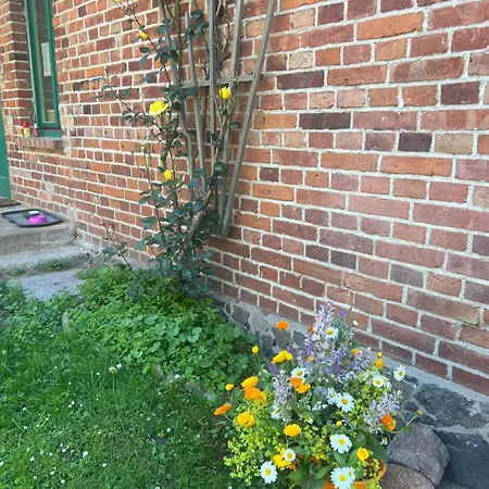 Foersterei Kalkhorst Am Naturschutzgebiet Mit Grossem Garten
